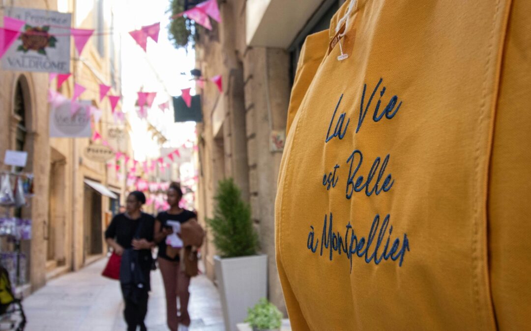 choisir son syndic de copropriété à Montpellier 34