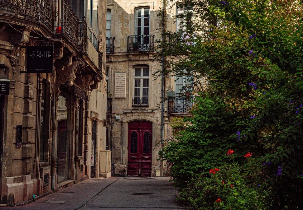 syndic local montpellier