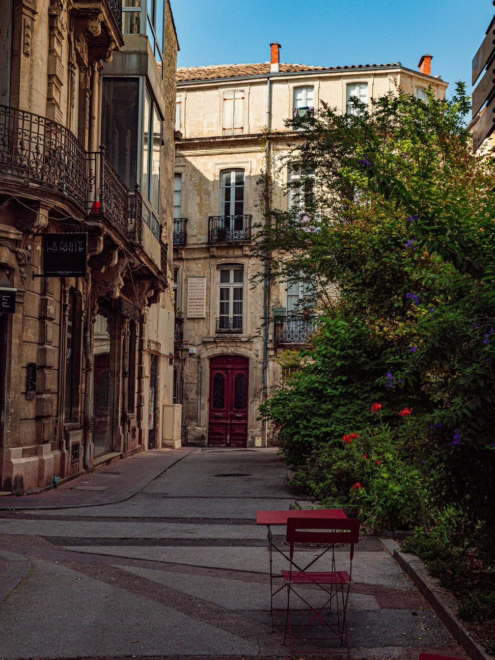 syndic local montpellier