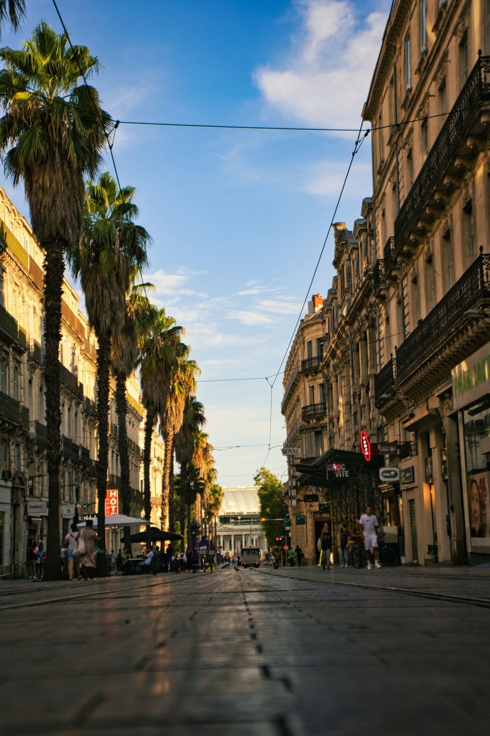 syndic de copropriété assemblée générale Montpellier